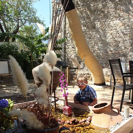 酒店 Kocca Ev 达特恰