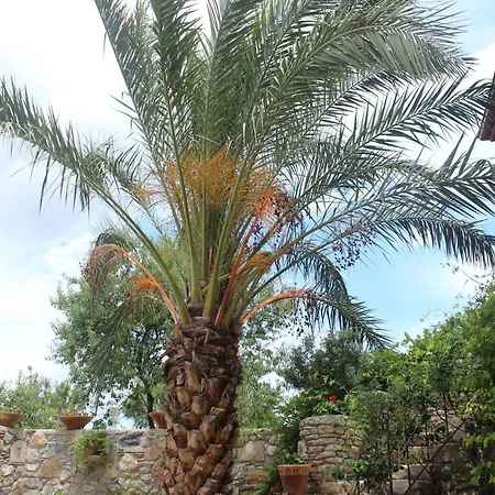 Kocca Ev 3* 达特恰