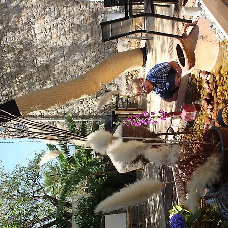 酒店 Kocca Ev 达特恰