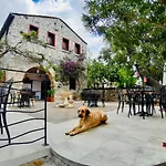 Kocca Ev 3*