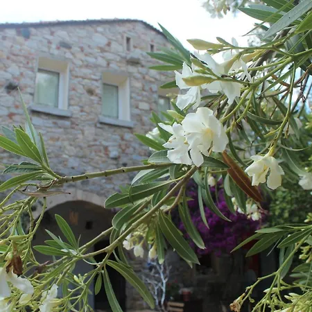 Kocca Ev Отель 3*