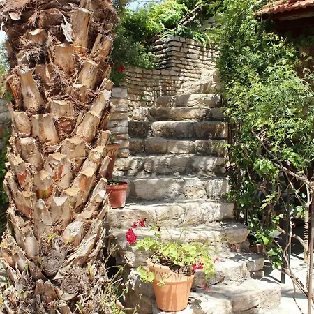 Отель Kocca Ev 3*