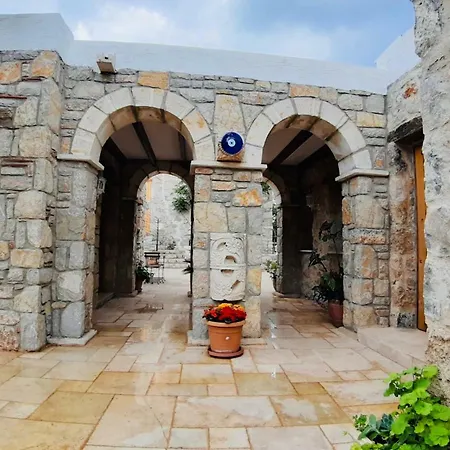 Kocca Ev 3* Датча