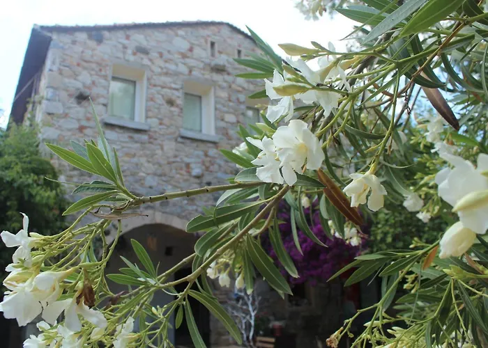 Kocca Ev Ξενοδοχείο 3*