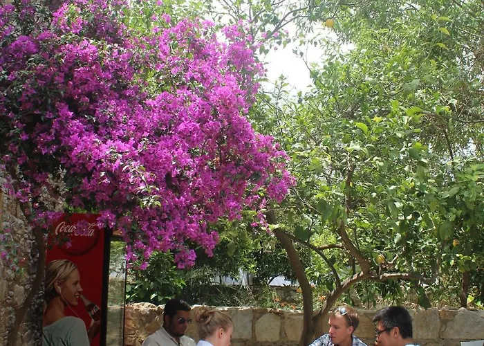 Ξενοδοχείο Kocca Ev