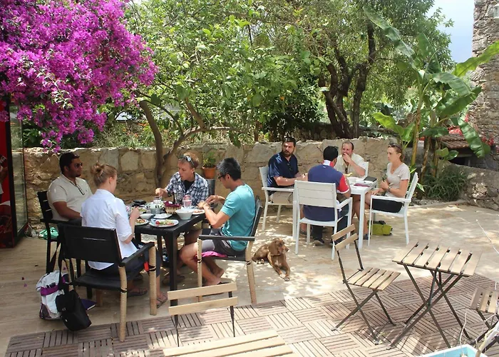 Ξενοδοχείο Kocca Ev