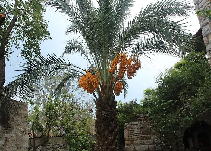 Kocca Ev Ξενοδοχείο